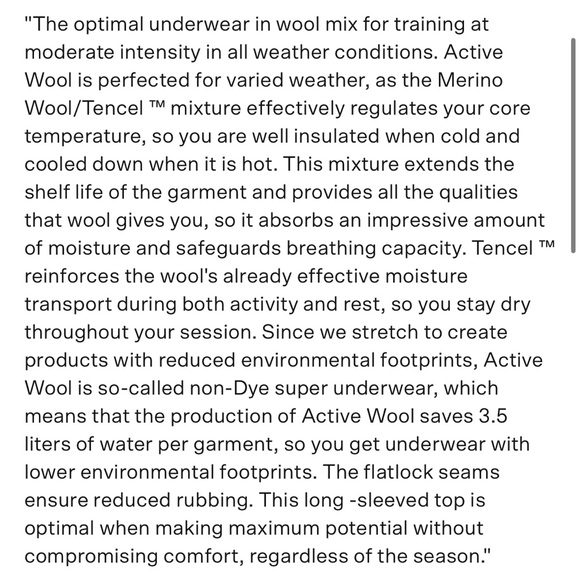 Women’s large Bjorn Daehlie Active Wool Long Sleeve top - Picture 4 of 11